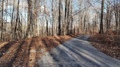 1098 Twin Sisters Lake Rd, Limoges - Marmora Ward