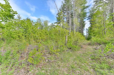 3776 B Buckshot Lake Rd, Plevna -  image-0-2