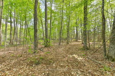 3776 B Buckshot Lake Rd, Plevna -  image-0-3
