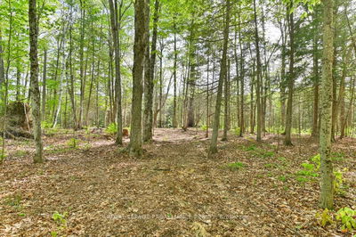 3776 B Buckshot Lake Rd, Plevna -  image-0-4