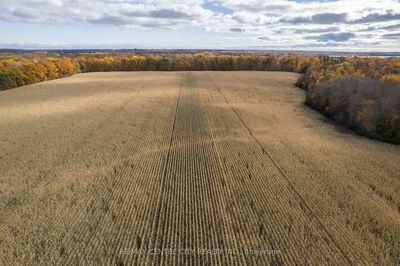 5159 County Road 8 Rd, Napanee - Greater Napanee image-0-3