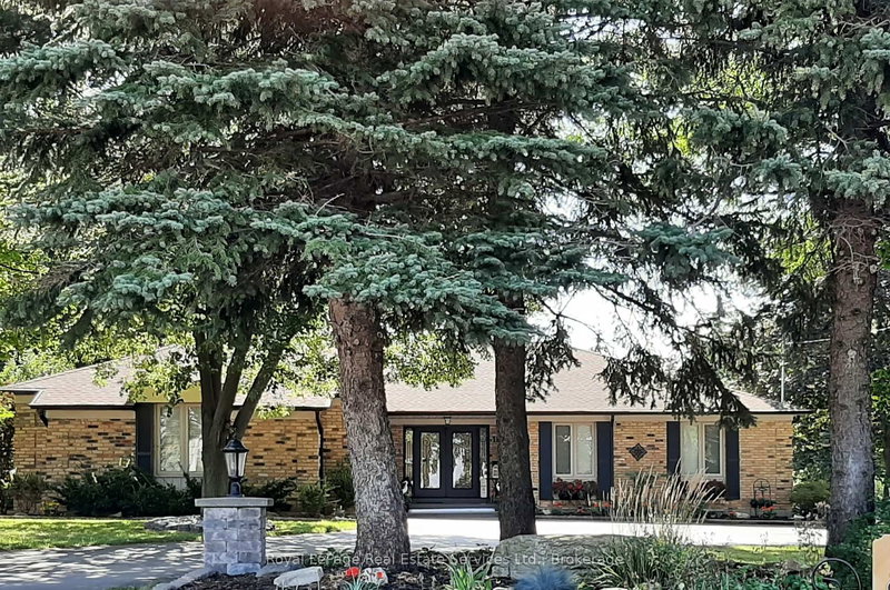 184 Dundas St E, Hamilton, L8N 2Z7 | Image 2