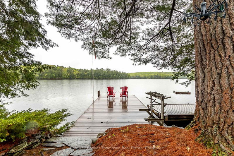 309 West Waseosa Lake Rd, Huntsville - Chaffey image-0-0