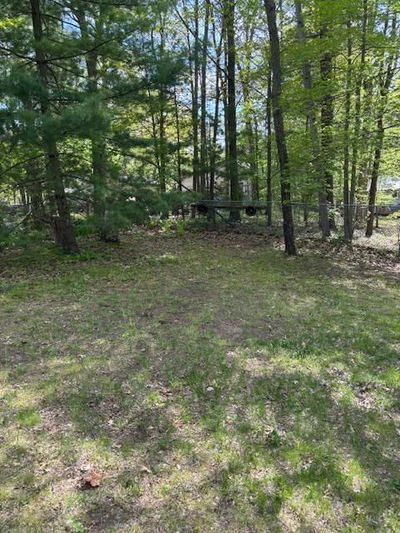 9707 Army Camp Rd, Lambton Shores - Lambton Shores image-0-3