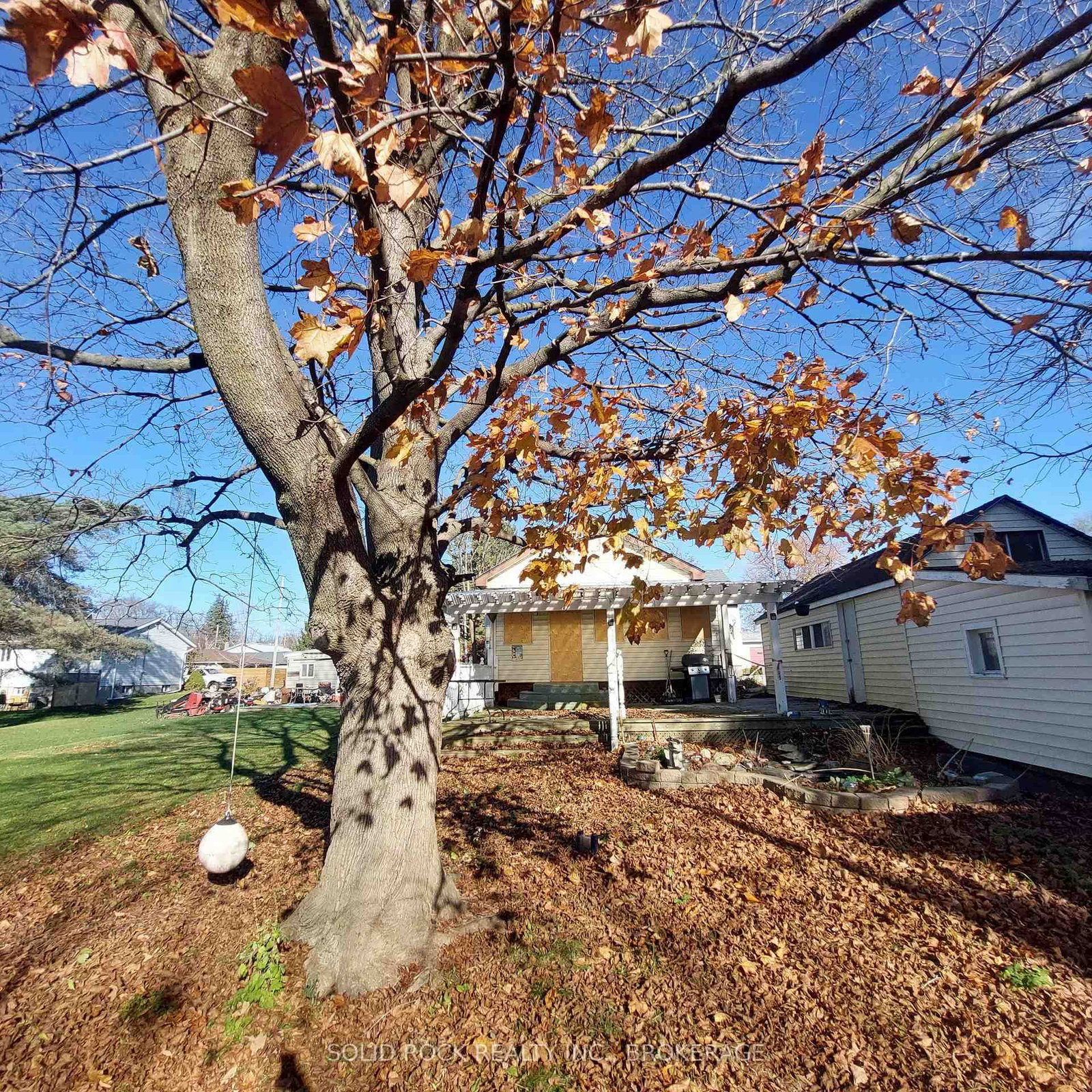 Listing Image 7