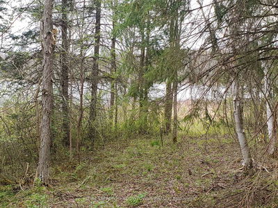 000 Clear Lake Rd, Parry Sound Remote Area - Arnstein