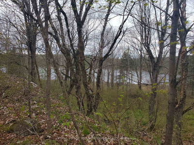 000 Clear Lake Rd, Parry Sound Remote Area - Arnstein image-0-1