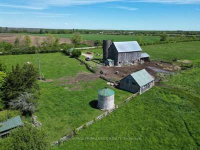 783 Wilson Road — photo 5