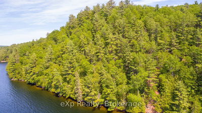 Lot # 4 Gonnsen Tr, Dysart et al - Dudley image-0-3