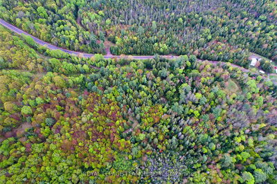 -00 Biernacki Mountain Rd, Barry's Bay - Madawaska Valley image-0-3