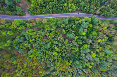 -00 Biernacki Mountain Rd, Barry's Bay - Madawaska Valley image-0-4