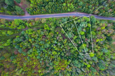 - Biernacki Mountain Rd, Barry's Bay - Madawaska Valley