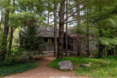 783099 ROAD 78, Zorra - Rural Zorra