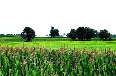 173 (B) Card Rd, Yarker - Stone Mills