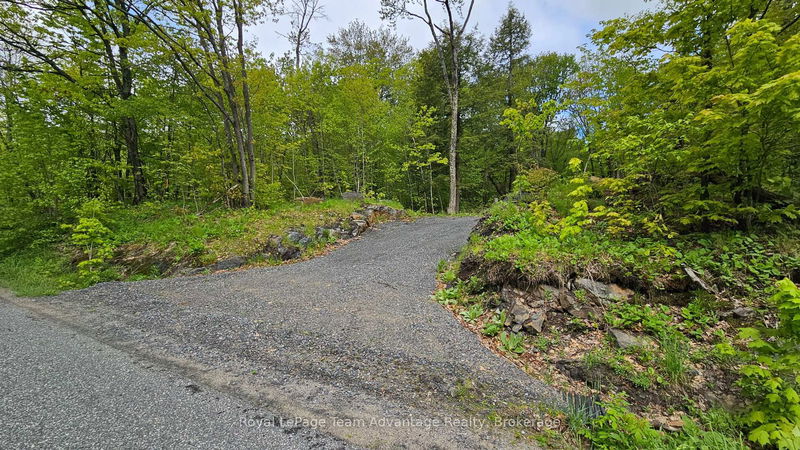 31 Pinewood Rd, McDougall - McDougall image-0-0