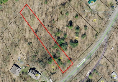 31 Pinewood Rd, McDougall - McDougall image-0-2