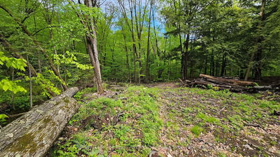 31 Pinewood Rd, McDougall - McDougall image-0-4