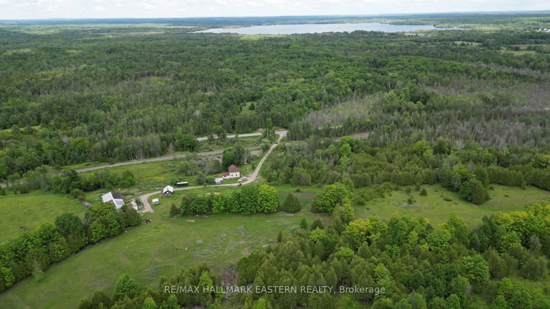 4291 County Road 44, Havelock-Belmont-Methuen - Belmont-Methuen image-0-0