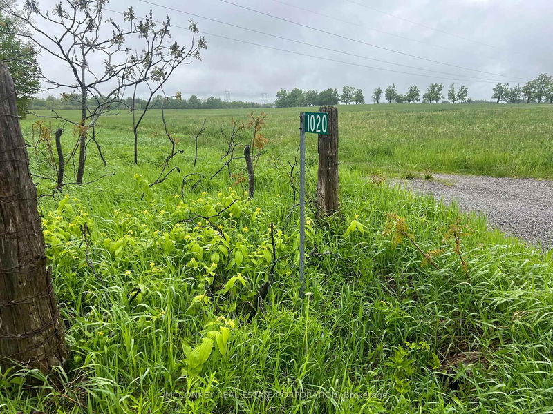 1020 Larmer Line, Cavan Monaghan - Cavan Twp image-0-0