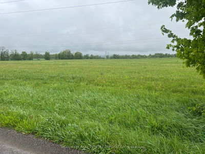 1020 Larmer Line, Cavan Monaghan - Cavan Twp image-0-1