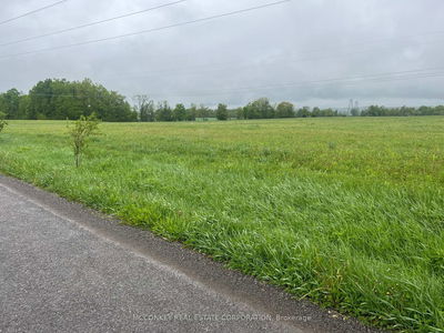 1020 Larmer Line, Cavan Monaghan - Cavan Twp image-0-2