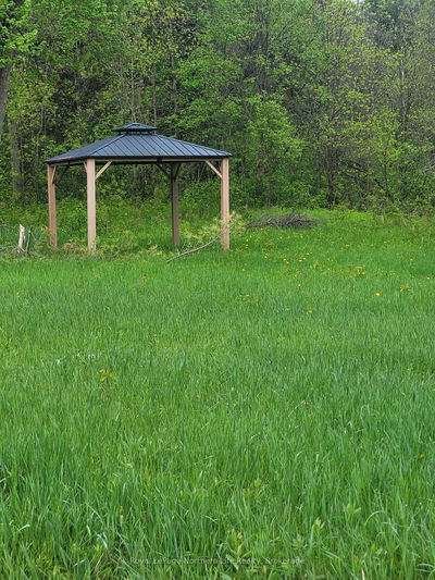 ANDREWS Lane, Bonfield - Bonfield image-0-3