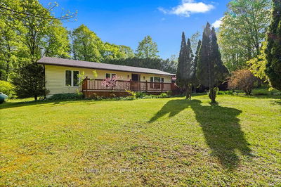 236 Raglan St, Grey Highlands - Grey Highlands
