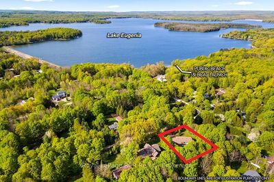 236 Raglan St, Grey Highlands - Grey Highlands image-0-2