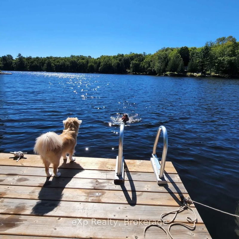 9 North Poverty Bay Rd, Magnetawan, P0A 1P0 | Image 2