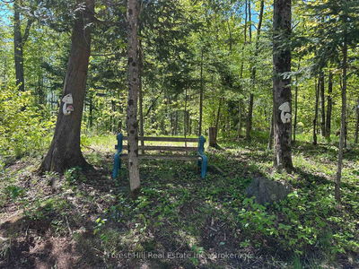 55 HILLTOP Rd, Parry Sound Remote Area - Arnstein image-0-4