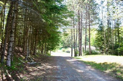 22 Robert Dr, Bancroft - Faraday image-0-2