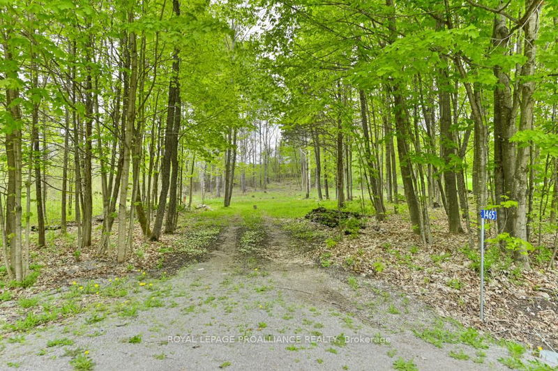 1465 Phillipston Rd, Belleville - Centre Hastings image-0-0