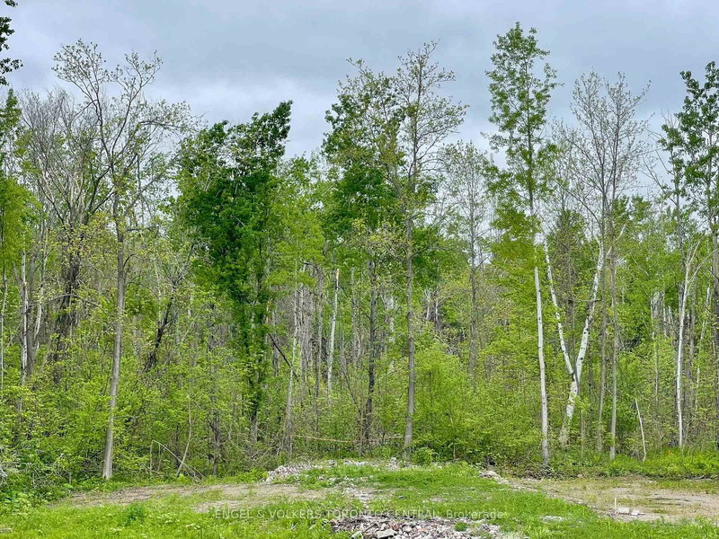 14 Winter Rd, Trent Hills, K0K 3K0 | Image 2