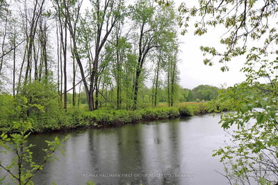 PT 12 Hughes Lane, Tweed -  image-0-2