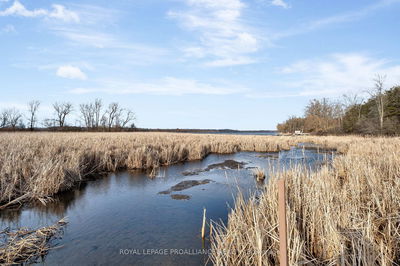 2691 County Road 15, Prince Edward County - Sophiasburg Ward image-0-1