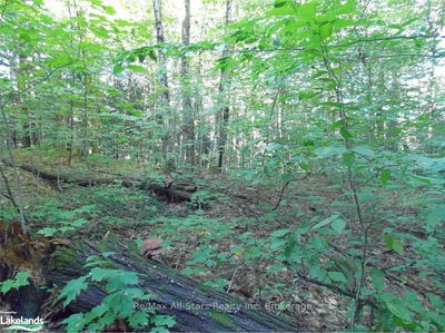  Angle Lake Rd, Lake of Bays - Franklin image-0-2