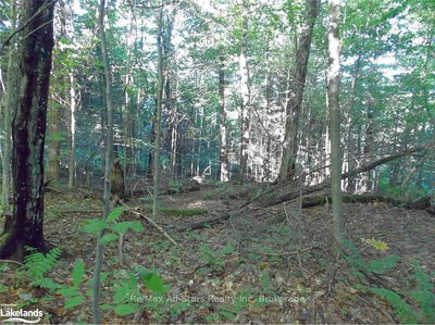  Angle Lake Rd, Lake of Bays - Franklin image-0-3