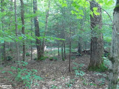  Angle Lake Rd, Lake of Bays - Franklin image-0-4