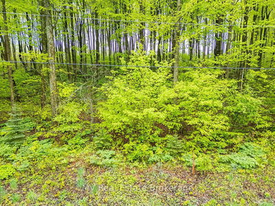 PT LT 6 BASELINE Rd, Grey Highlands - Grey Highlands image-0-2