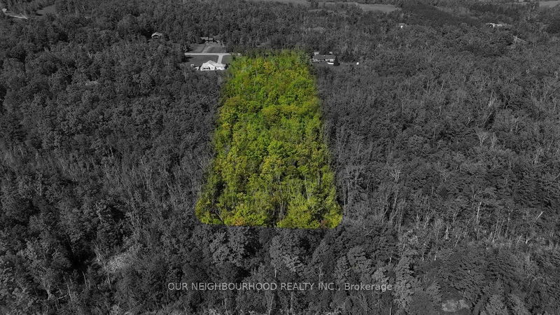 Lot 4 Tapley Quarter Line, Cavan Monaghan - Cavan Twp image-0-0
