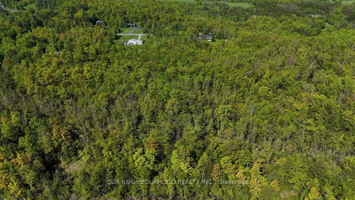Lot 4 Tapley Quarter Line, Cavan Monaghan - Cavan Twp image-0-1