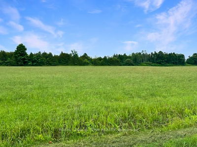 7205 Malakoff Rd, North Gower - Rideau Twp S of Reg Rd 6 W of Mccordick Rd.