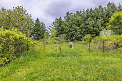 1969 Hutchinson Rd, Haldimand - Dunnville