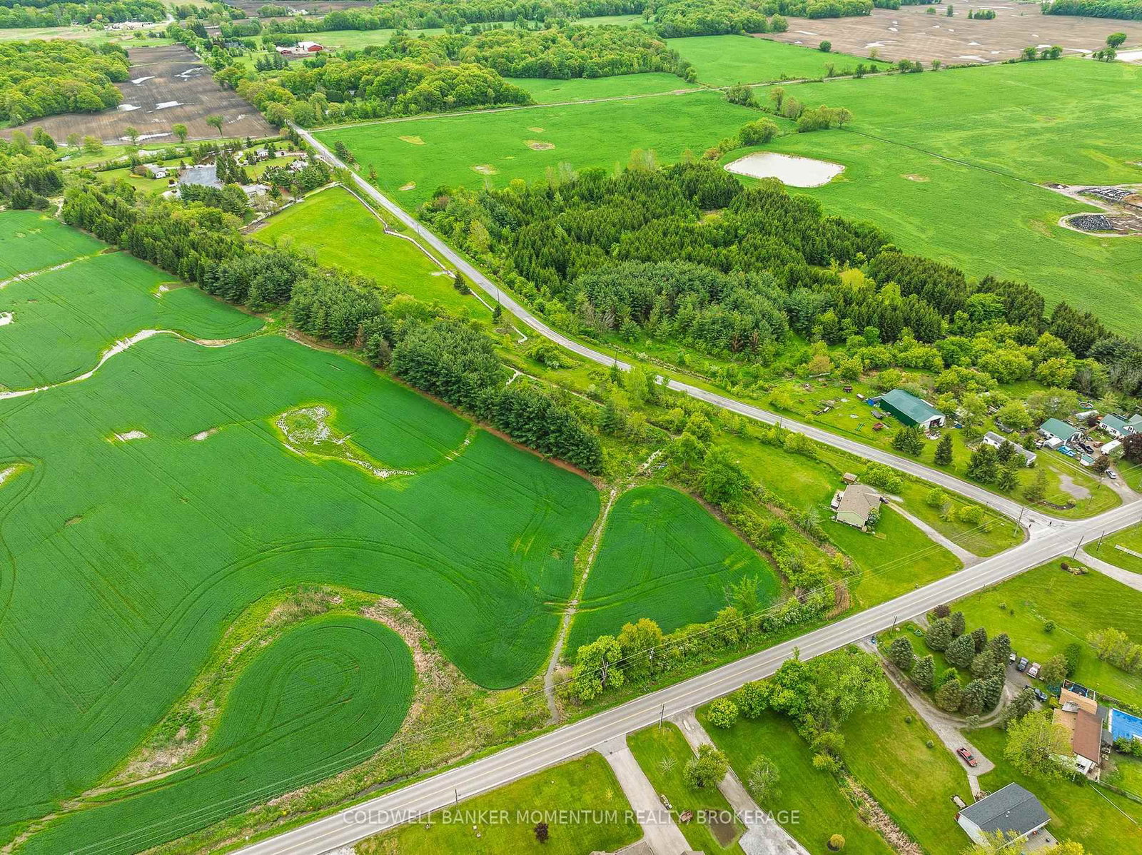 1969 Hutchinson Road • Haldimand, ON photo 10