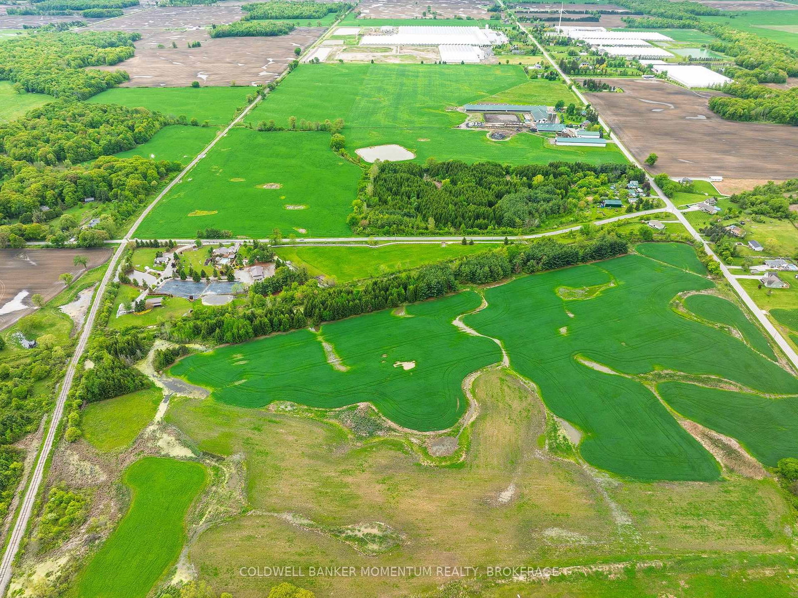 1969 Hutchinson Road • Haldimand, ON photo 12