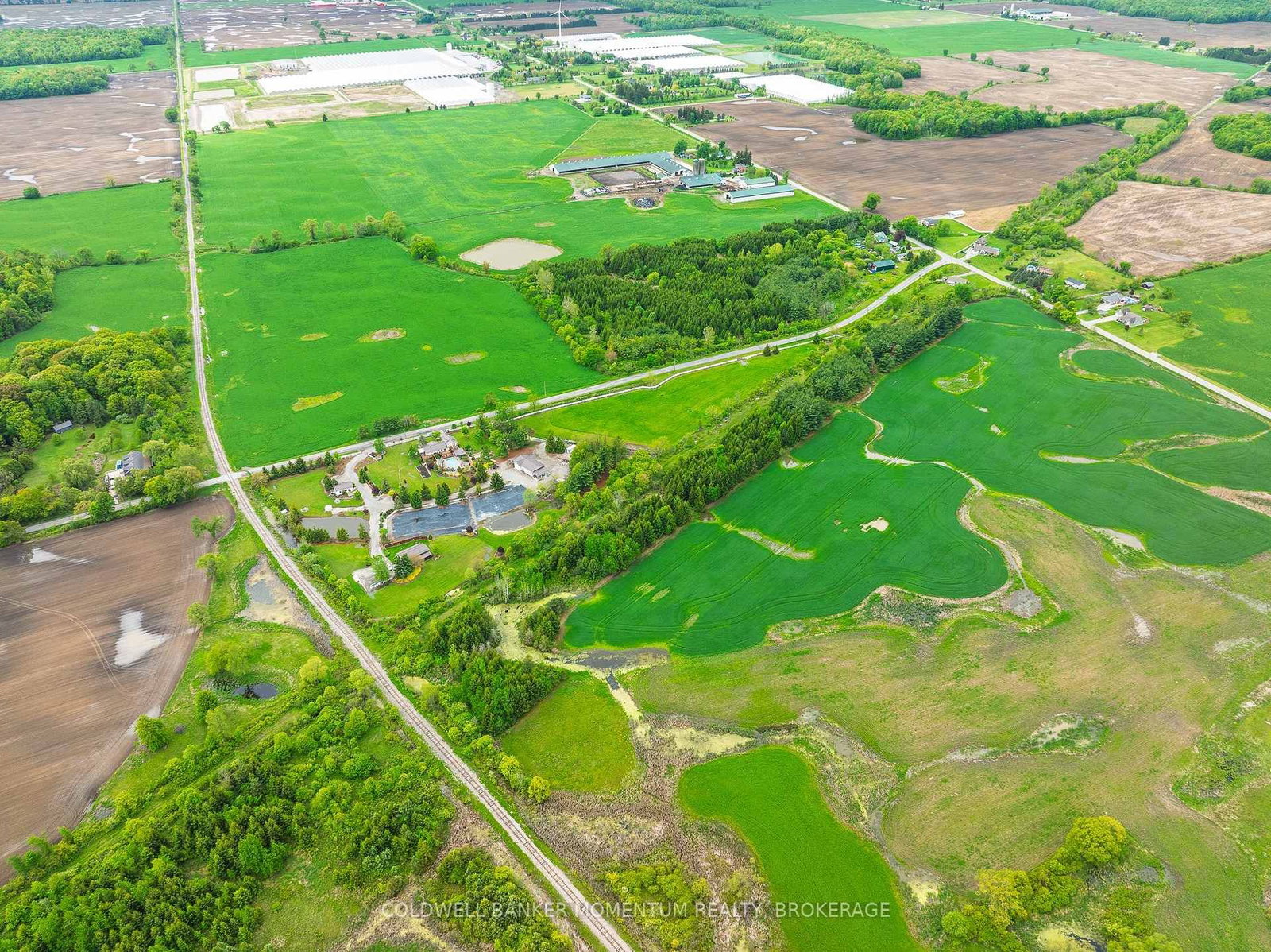1969 Hutchinson Road • Haldimand, ON photo 13