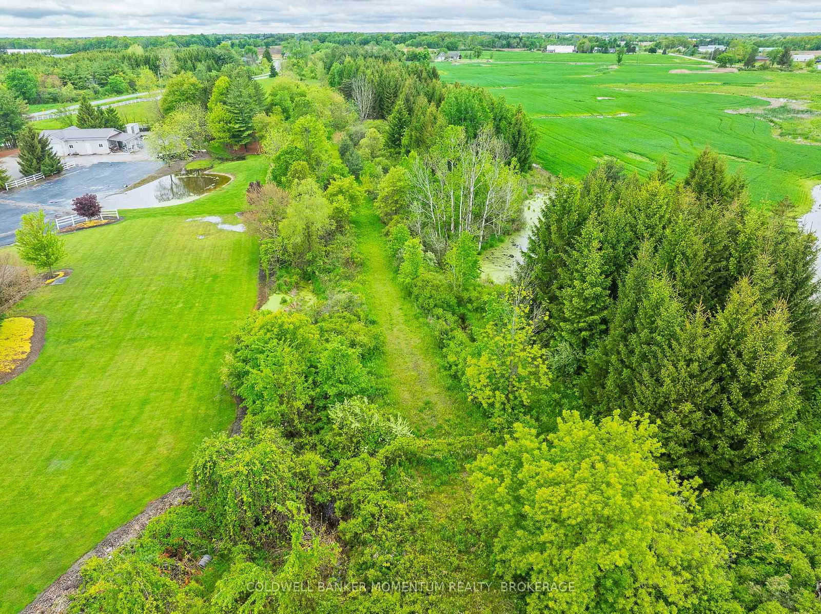 1969 Hutchinson Road • Haldimand, ON photo 4