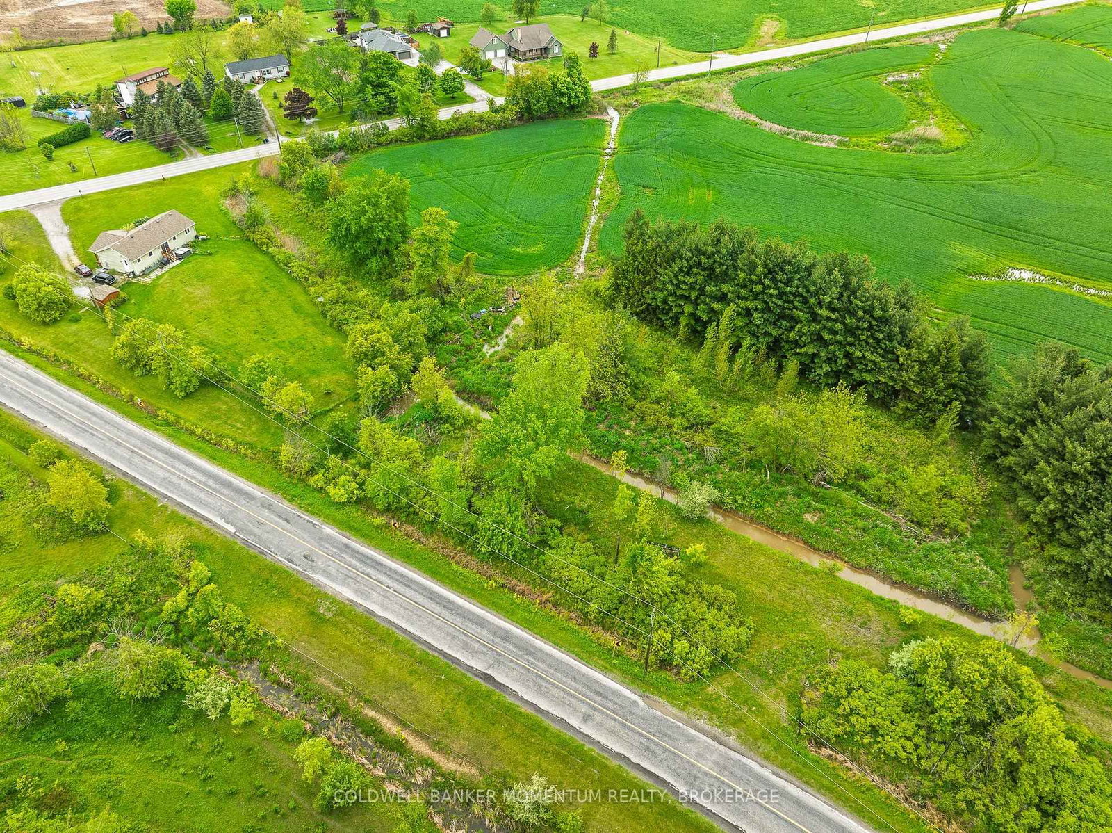 1969 Hutchinson Road • Haldimand, ON photo 5