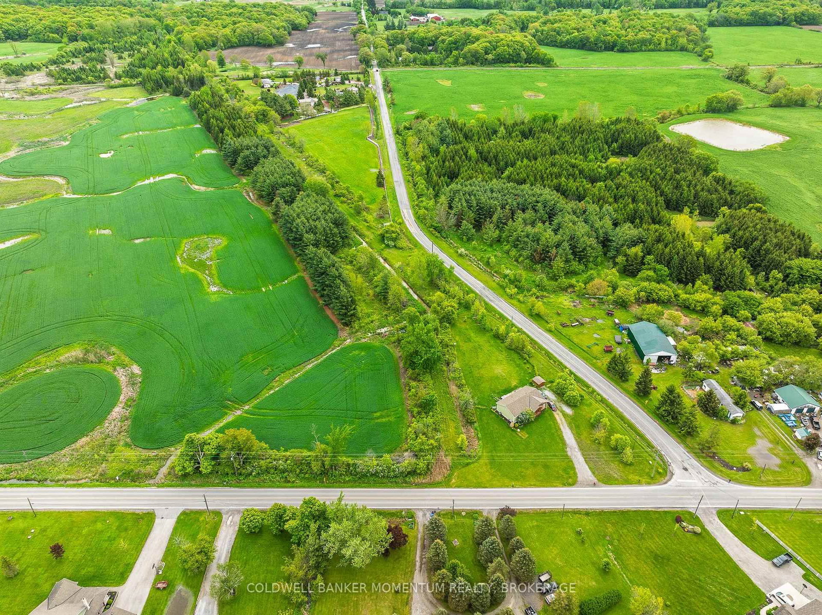 1969 Hutchinson Road • Haldimand, ON photo 9