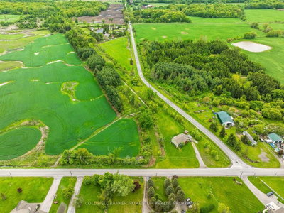 1969 Hutchinson Road • Haldimand, ON photo 9